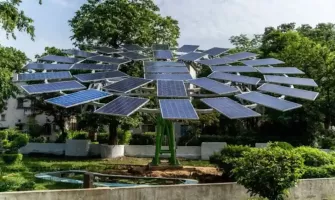Napelemes fák: az energia jövője, ami megőrzi az erdőket