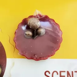 Bogyó illatú viasz korong aromalámpába